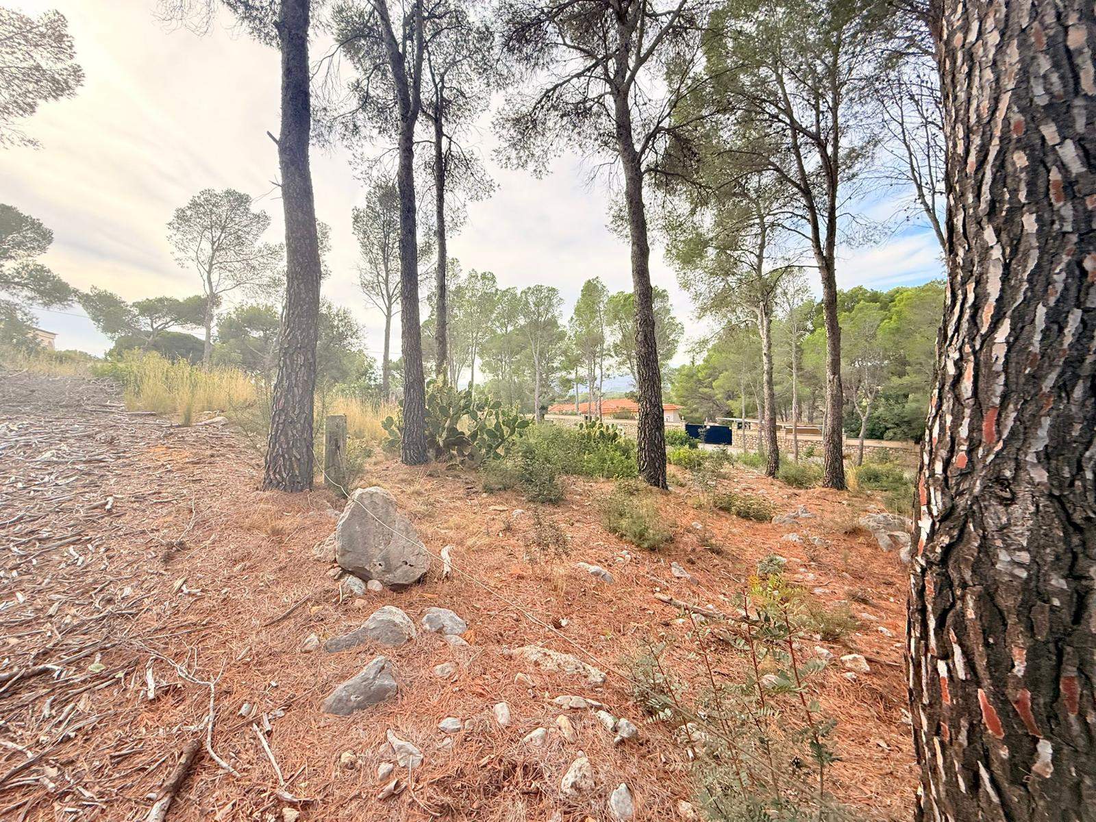 Terreno urbano en Altea la Vella