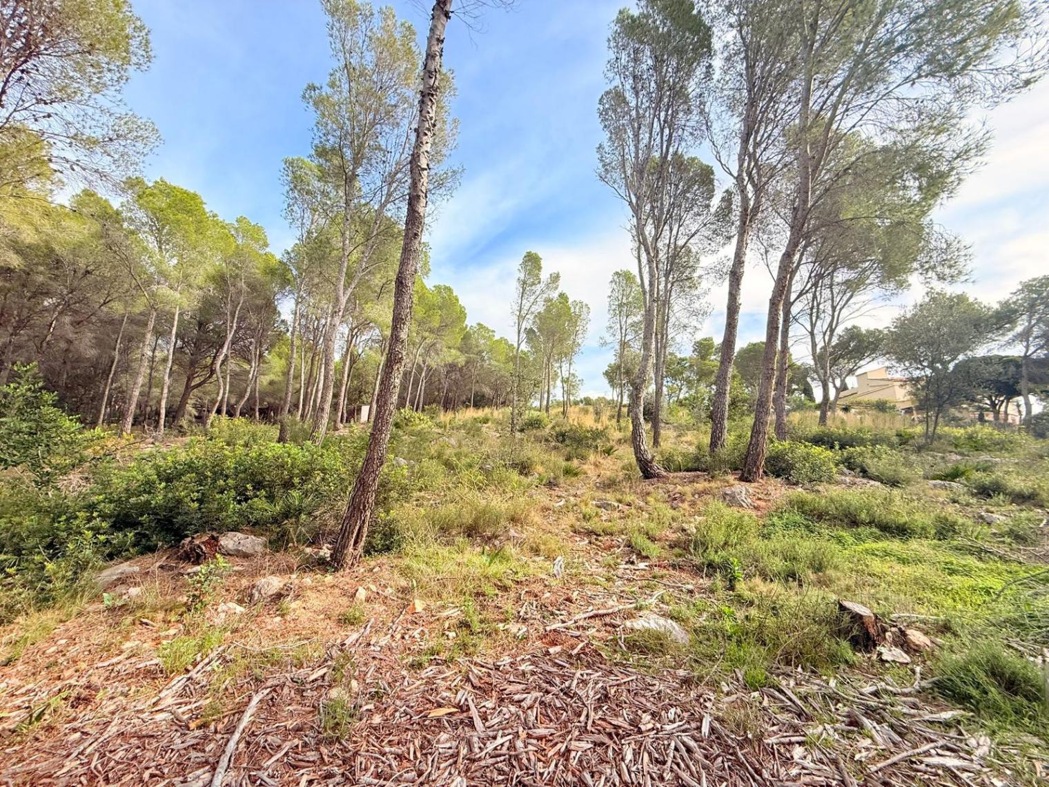 Terreno urbano en Altea la Vella