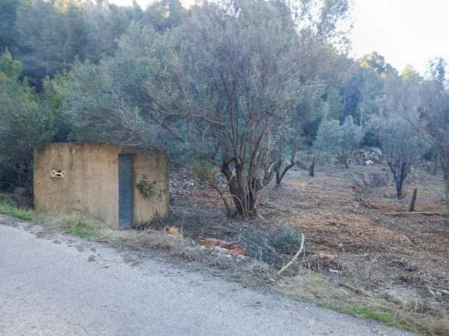 Rustic estate of 3,993 m² with excellent access and irrigation water, Bolulla