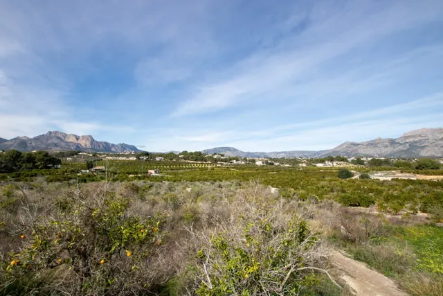 Terreno de 14.000 m² con posibilidad de villa de lujo personalizable en Altea — foto 2